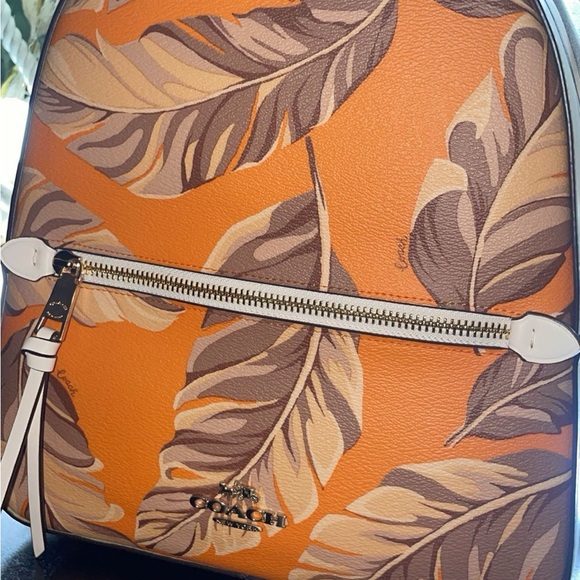 Coach - Picture 2 of 2